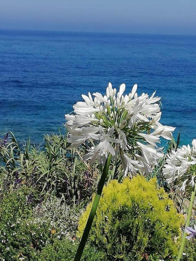 Ikaria Village Maisonette 10 Klorakas Eksteriør bilde