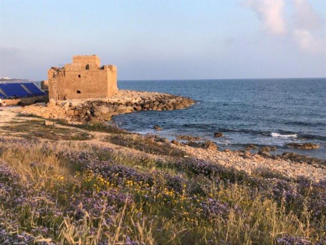 Ikaria Village Maisonette 10 Klorakas Eksteriør bilde